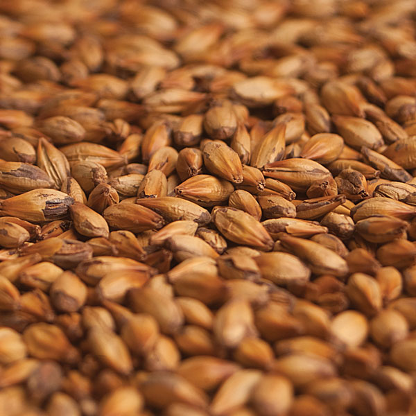 Patagonia Especial 140L Malt